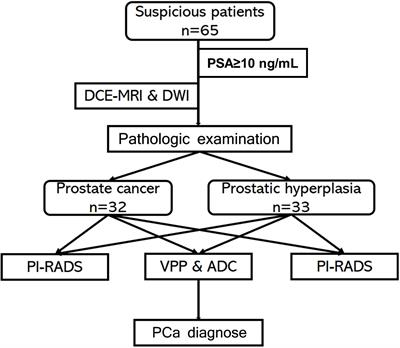 DCE-MRI and DWI can differentiate benign from malignant prostate tumors when serum PSA is ≥10 ng/ml